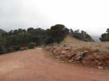 DSCN0546