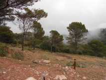 DSCN0549