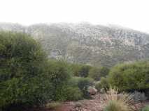 DSCN0553