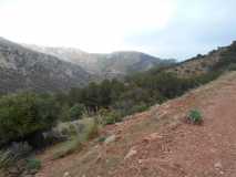DSCN0554