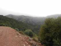 DSCN0555