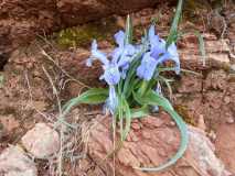 DSCN0556