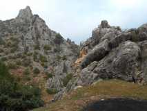 DSCN0557