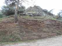 DSCN0559