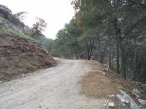DSCN0560