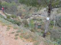 DSCN0566